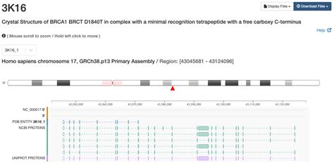 RCSB PDB: Homepage.